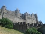 A medieval castle-style wall sits on a heavy incline alongside flora.