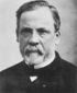 Louis Pasteur.jpg