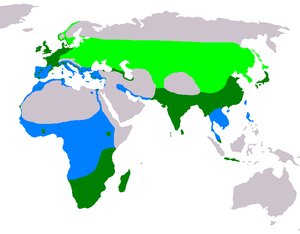 Ardea cinerea map.png