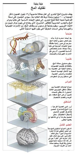 Deconstructing the brain.JPG