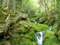 Dickson Falls, Fundy National Park