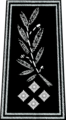 Directeur des services actifs (Director of the Active Services) or the 'Chief Constable rank (A commissioner in London) in a British-style police force