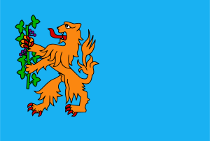 Brummen vlag.svg