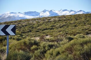 Macizo central de Gredos-AV-P-510.jpg