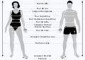 [[File:Body measures SVG.svg|lang=fr]]