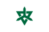 Flag of Higashimatsuyama, Saitama.svg