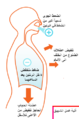 تصغير للنسخة بتاريخ 16:43، 7 سبتمبر 2009