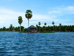 Floating houses on Lake Tempe.jpg