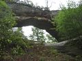 Natural Arch (sandstone) in Daniel Boone National Forest in كنتكي.