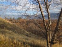 Okanagan Lake Provincial Park