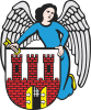 درع Toruń