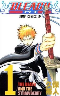 Bleach cover 01.jpg