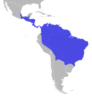 Harpy Eagle Range.svg