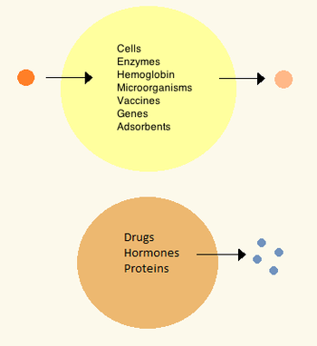 Two types of artificial cells, one with contents meant to stay inside, the other for drug delivery and diffusing contents.