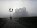 Fog in the Botanical Garden of Curitiba, Southern Brazil