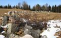 The Salpa Line anti-tank obstacles in Aholanvaara