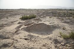 Mehrgarh Site 1.jpg