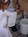 Plastic pail used for milking