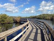 Anhinga Trail boardwalk.JPG