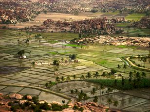 Farms as seen from Anjeyanadri Hill