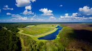 Sweetwater Wetlands Park at Payne's Prairie