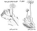 تصغير للنسخة بتاريخ 23:50، 24 سبتمبر 2011