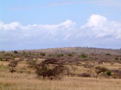 HluHluwe-Umfolozi Game Reserve, South Africa