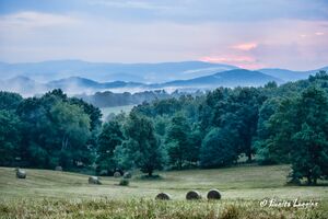 Summer Evening on Spry Road in Piney Creek.jpg