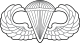 United States Air Force Parachutist Badge.svg