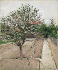 Gustave Caillebotte, Apple Tree in Bloom (Pommier en fleurs), c. 1885