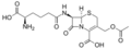 Cephalosporin C