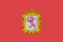 Flag of the city of León