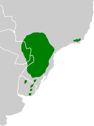 Ilex paraguariensis native range.svg