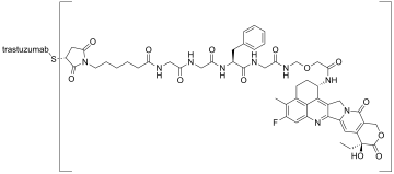 Trastuzumab deruxtecan.svg