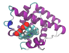 Leghemoglobin 1FSL.png