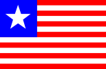 Flag of Florida (January 13 – September 27, 1861, Unofficial)