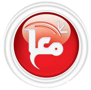 Ma'an Logo.jpg