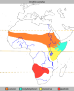 Struthio camelus Distribution.png