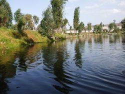 En Xochimilco.jpg