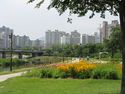 Korea-Daegu-Shincheon River-01.jpg