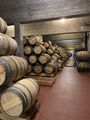 Muga Wine cellar, Haro, Spain