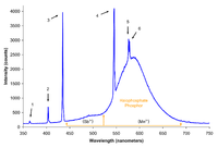 Spectrum of halophosphate type fluorescent bulb (f30t12 ww rs).png