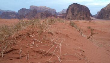 Wadi Rum desert