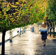 A rainy day in Arak.