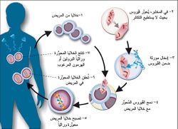 طرائق المعالجة المتاحة حالياً.jpg.jpg