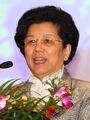 Chen Zhili UNDP 2009.jpg