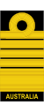 Royal Australian Navy (sleeves) OF-10.svg