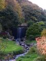 the conservatoire botanique national in autumn