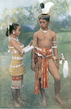 Young Ibans, or Sea Dayaks.jpg