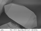 SEM image of zircon